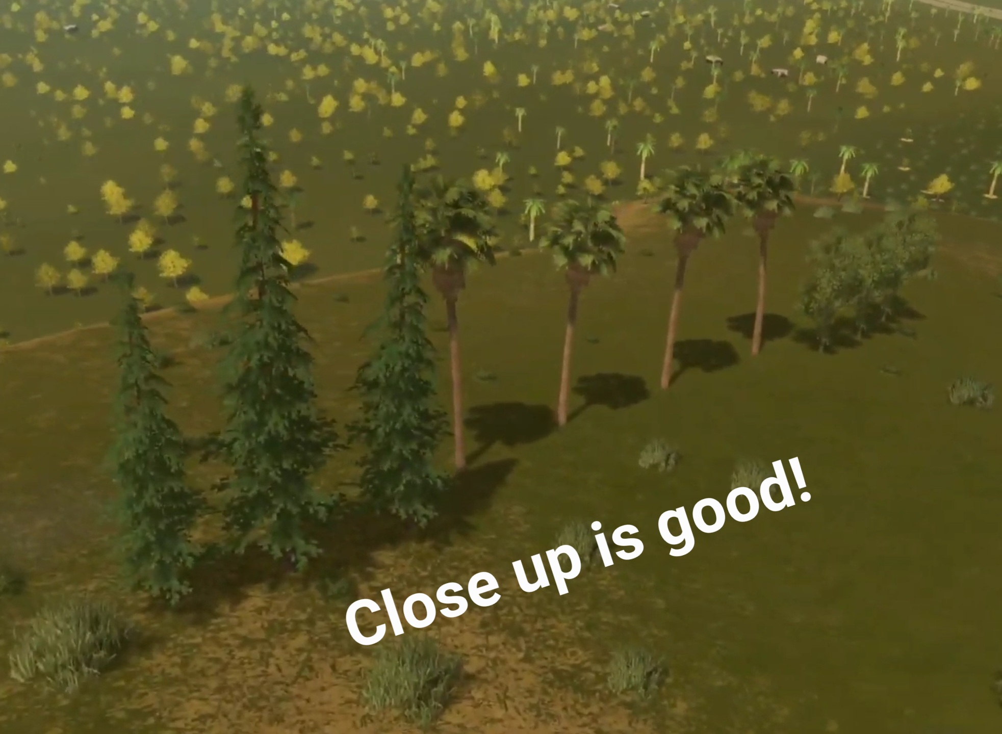 Screenshot_20220903-203542_Video Player.jpg